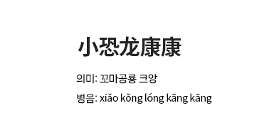 小恐龙康康 : 의미: 꼬마공룡 크앙, 병음: xiǎo kǒng l&oacute;ng kāng kāng